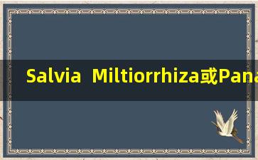 Salvia  Miltiorrhiza或Panax  Notoginseng可以打开血管，哪一个更好？可以长时间吃掉吗？